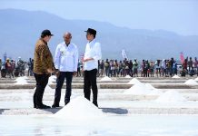 Pemerintah Pacu Produksi Industri Garam Kupang