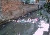 Terancam Banjir akibat Drainase Dangkal Warga Semper Barat Resah