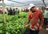 Kementan: Pembangunan Pertanian yang Tepat Akan Mendorong Produksi