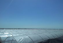 Produksi Garam Nasional Meningkat 1 Juta Ton/Tahun