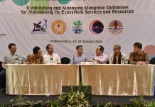 Kemenko Maritim Dorong Aksi Rehabilitasi Mangrove Nasional