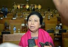 DPR Harap Akses Modal ke Pelaku Usaha Kreatif Dipermudah Popong Otje Djundjunan