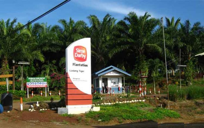 Minamas Plantation