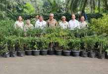 Kementan Tanam Ratusan Pohon Cabai di Istana Bogor