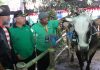 Sapi Seberat 1,3 Ton Juarai Kontes Ternak Expo Kanjuruhan
