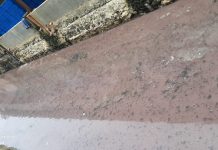 Tercemar Limbah Pabrik, Sudin LH Jakut Ambil Sampel Air Kali Angke