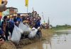 Peringati Hari Lingkungan, Pemkab Sergai Tabur Benih Ikan Nila Bupati Soekirman Melemparkan Benih Ikan Nila