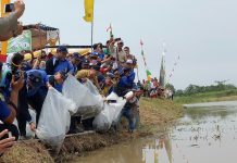 Peringati Hari Lingkungan, Pemkab Sergai Tabur Benih Ikan Nila Bupati Soekirman Melemparkan Benih Ikan Nila