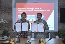 Gaet Indonesia Power, PPI Optimis Hasilkan Daya Hingga 4,600 MW