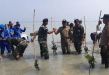 Tanam 4.000 Mangrove di Kep. Seribu, Pemkab Gandeng Pushidrosal