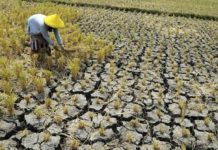 Duh! 88 Daerah di RI Berstatus Rentan Rawan Pangan
