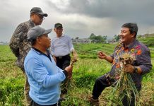 Kementan Pilih Tegal Jadi Lokasi Pelatihan Petugas Verifikasi Bawang Putih
