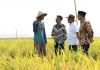 Kementan: Indonesia Taat Sebagai Negara Anggota WTO