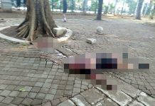 Ledakan di Monas Akibat Granat Asap, Dua Anggota TNI Terluka