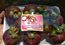 Wabah Corona Hambat Ekspor Manggis, Kementan Bidik Pasar AS