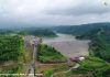 PUPR Mamfaatkan Tanaman Vetiver untuk Infrastruktur
