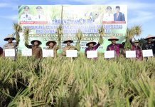 Bupati Asahan: Pertanian Peluang Tingkatkan Kesejahteraan Rakyat