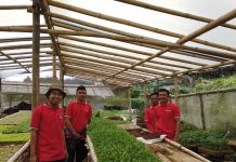 Petani Muda ini Berhasil Kembangkan Pertanian Organik