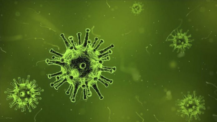 virus korona