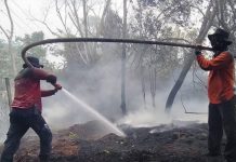 Aktif Kendalikan Karhutla, Manggala Agni Turut Cegah Covid-19