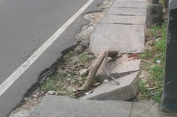Pelat-Uditch-Jaksel