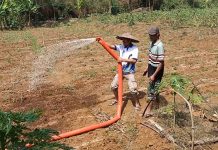 Antisipasi Puncak Kemarau, Kementan Gerak Cepat Petakan Komponen Bantuan