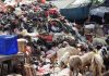 Berdekatan dengan Puskesmas, Warga Keluhkan Sampah Pasar Lontar