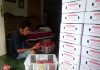 Buah Naga Organik asal Wonogiri Tembus Pasar Jerman