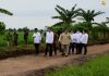 Jokowi Tinjau Lahan Food Estate di Kalteng