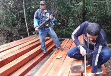 KLHK Buru Cukong Pembalakan Kayu di Kalbar