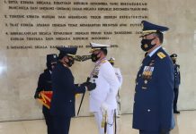KSAL-KSAU Terima Tanda Kehormatan Bintang Angkatan Kelas Utama