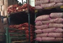 Lagi, Indonesia Ekspor Bawang Putih ke Taiwan