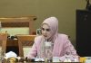 Mulan Jameela: Utang Berpotensi Ganggu Kinerja PLN