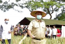 Akhyar Harap Panen Raya Kodim Dukung Ketahanan Pangan