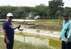 Sawah Warga Dicemari Limbah, DPRD Banjar Turun Tangan