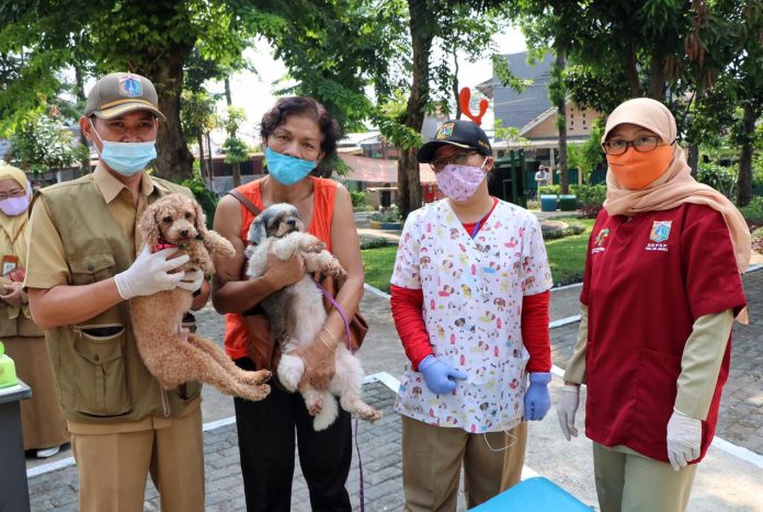Sudin KKP Jakpus Lakukan Vaksinasi Hewan