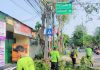 Dinas Pertamanan Jakpus Pangkas Puluhan Pohon di Kemayoran Dinas Pertamanan dan Kehutanan Jakpus Pangkas Pohon di Kemayoran