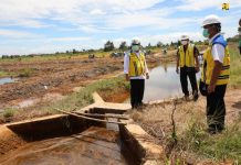 Basuki Pastikan Sistem Irigasi Kawasan Food Estate Kalteng Berfungsi