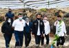 Food Estate Sumut jadi Percontohan bagi Daerah lain