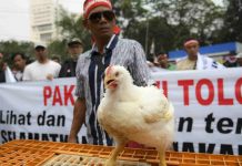5 Perusahan Besar Tabrak Aturan, PATAKA: Jangan Tutup-tutupi!