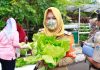 Panen Serentak, Pemkot Jakpus Apresiasi Kelompok Tani dan RPTA