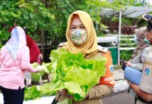 Panen Serentak, Pemkot Jakpus Apresiasi Kelompok Tani dan RPTA