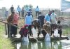 Lestarikan Ikan Endemik, KKP Siapkan Fisheries Park