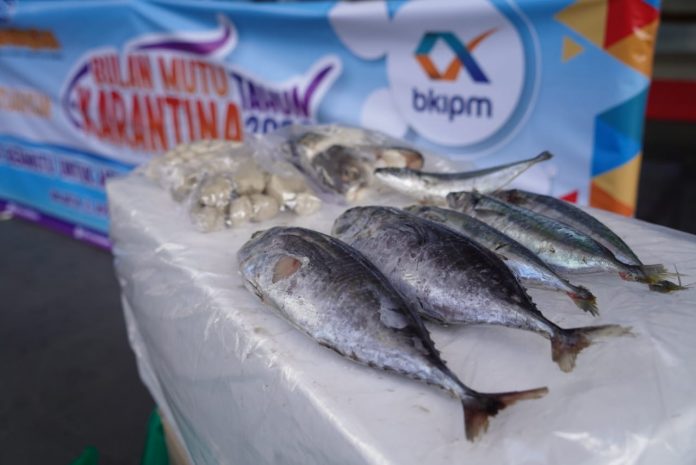 Ikan-beku