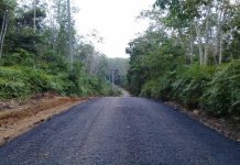 Jalan Kembali Mulus, Warga Margoyoso Apresiasi Dinas PU Bina Marga