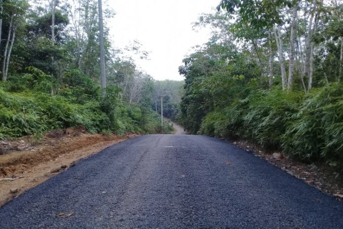 Jalan-Desa-Margoyoso