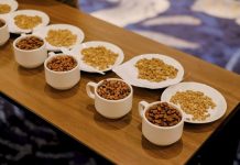 Kemenparekraf Dorong Identifikasi HKI bagi Pelaku Usaha Kopi