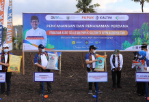 Perkuat Petani Jagung, Pupuk Indonesia Gencarkan Agro Solution