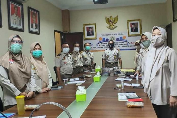 karantina lampung