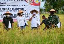 Bamsoet Berikan Bantuan Alsintan Saat Panen Raya Padi Cianjur Bambang Soesatyo Menghadiri Pane Raya Beras di Cianjur